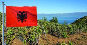 Read more about the article Was hat der Weinbau in Albanien, was die neue Weinwelt in der USA nicht hat?