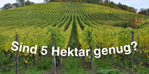 Mehr über den Artikel erfahren Sind 5 Hektar Fläche genug? Wohin geht es?