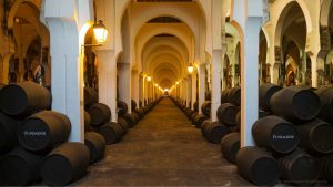 Mehr über den Artikel erfahren Die Weinwirtschaft kracht nicht nur bei uns: Bodegas Riojanas begibt sich in ein Vorinsolvenzverfahren.