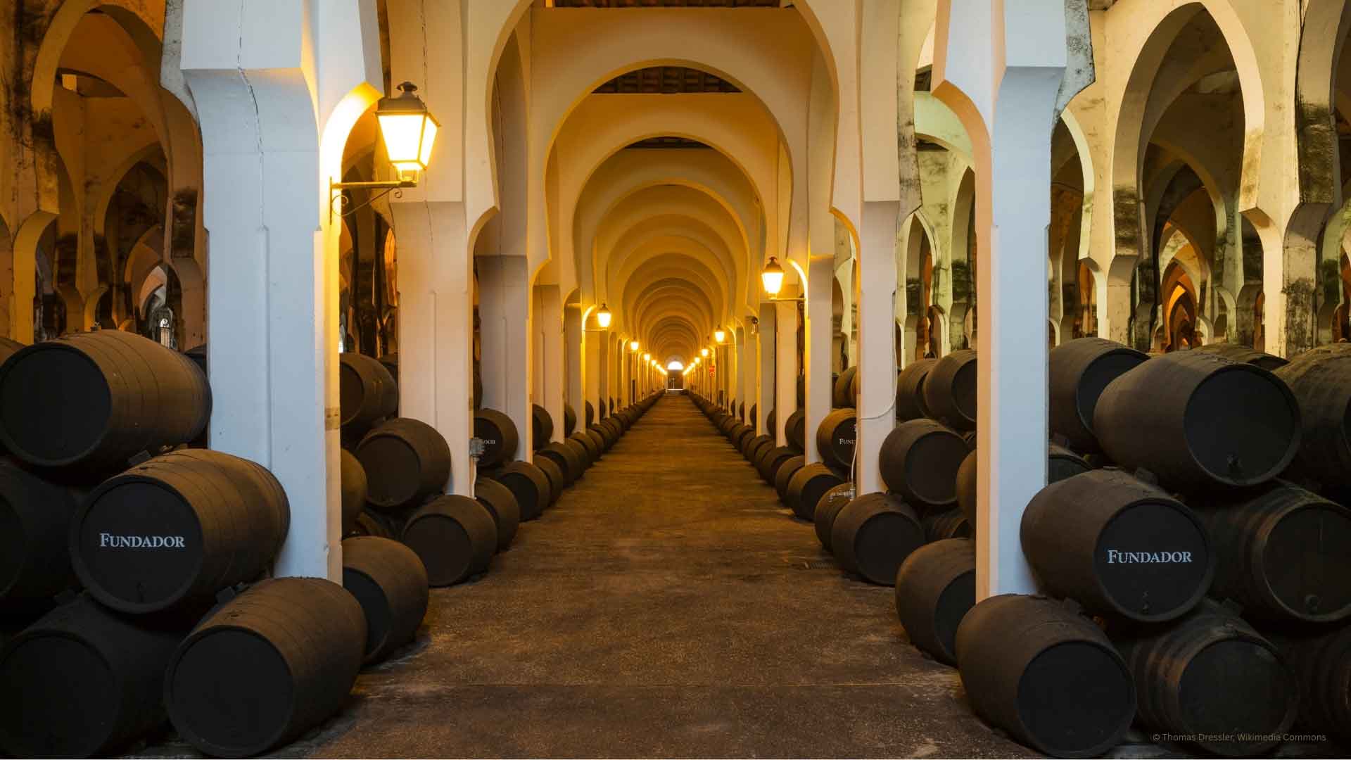 Bodegas
