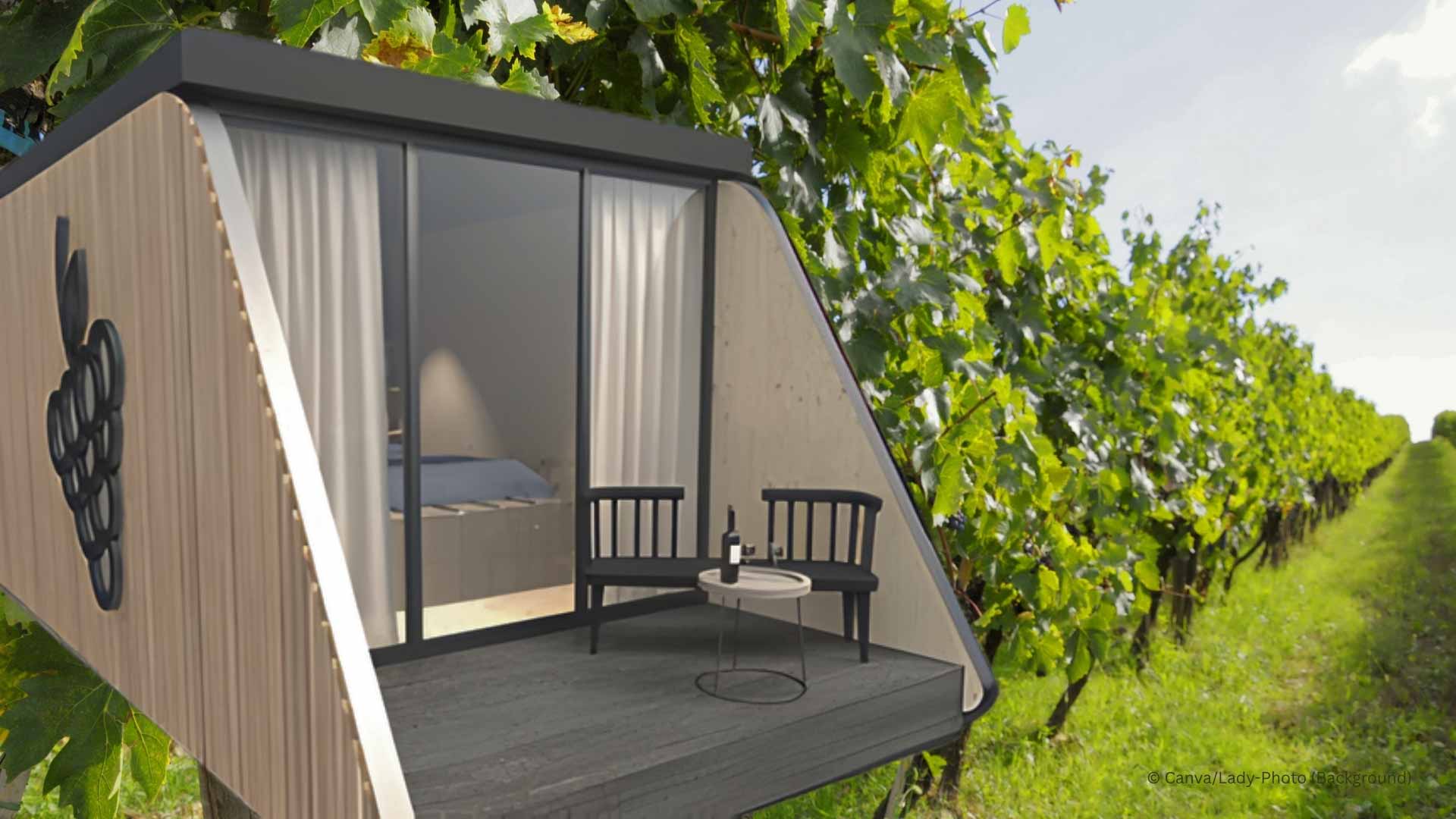 Vino Loft (Hintergrundcredits: Canva/Lady-Photo)